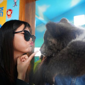 春游之際，臨泉魔幻動物園與您有個約“惠”