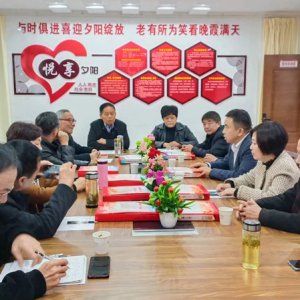 鹿城鎮(zhèn)老年協(xié)會學(xué)習(xí)宣傳貫徹黨的二十大精神，結(jié)合實際做好自身工作討論會召開