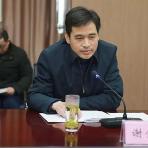 謝金明出任金種子集團黨委書記，提名集團董事長