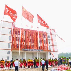 安徽胡王府：預制菜產(chǎn)業(yè)新生力量，助推鄉(xiāng)村振興
