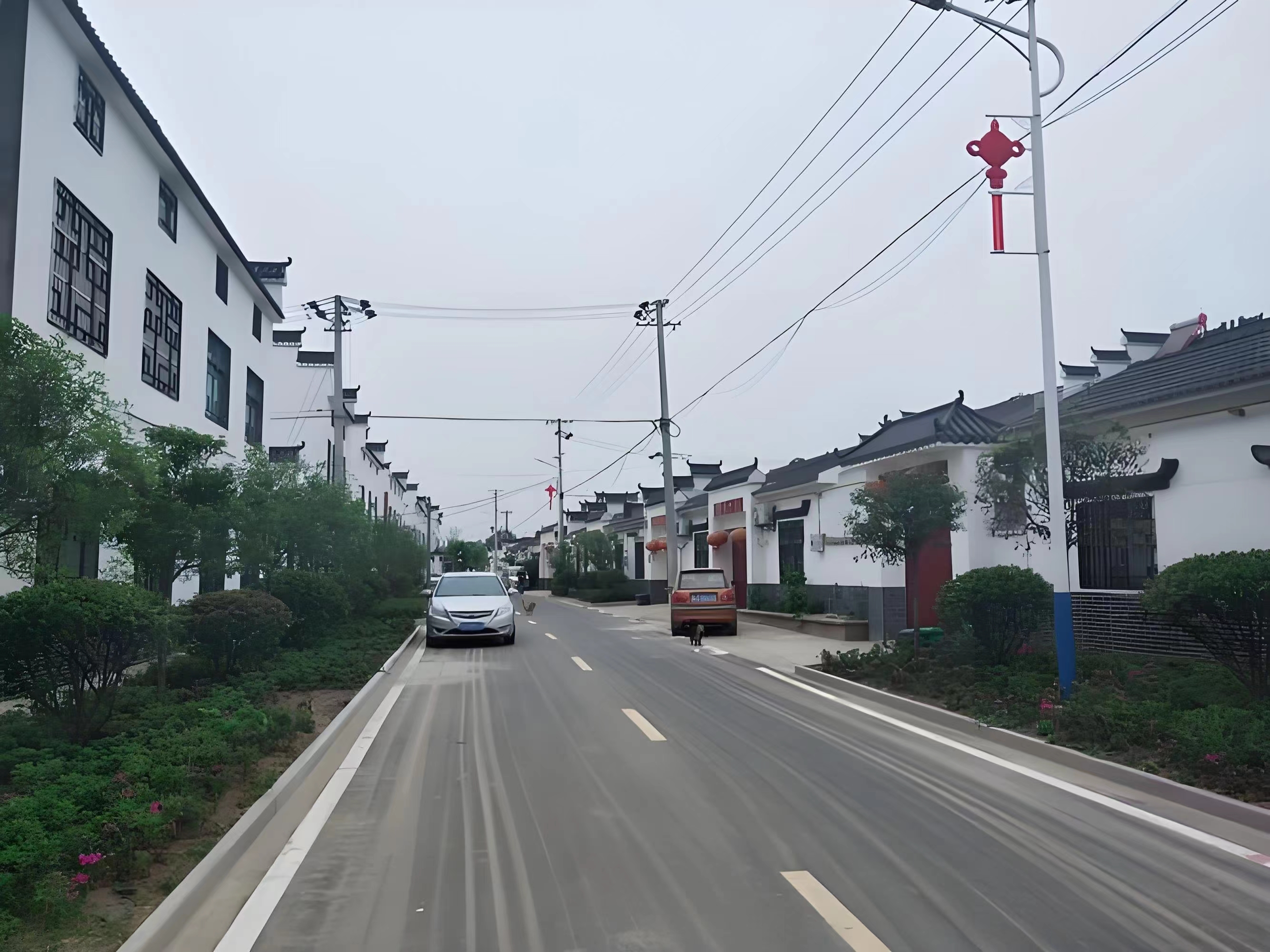 傳承紅色基因，續(xù)寫潁上黃壩發(fā)展新篇章