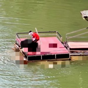 馬上評(píng)｜蹦極不是玩命，景區(qū)安全之繩絲毫松不得